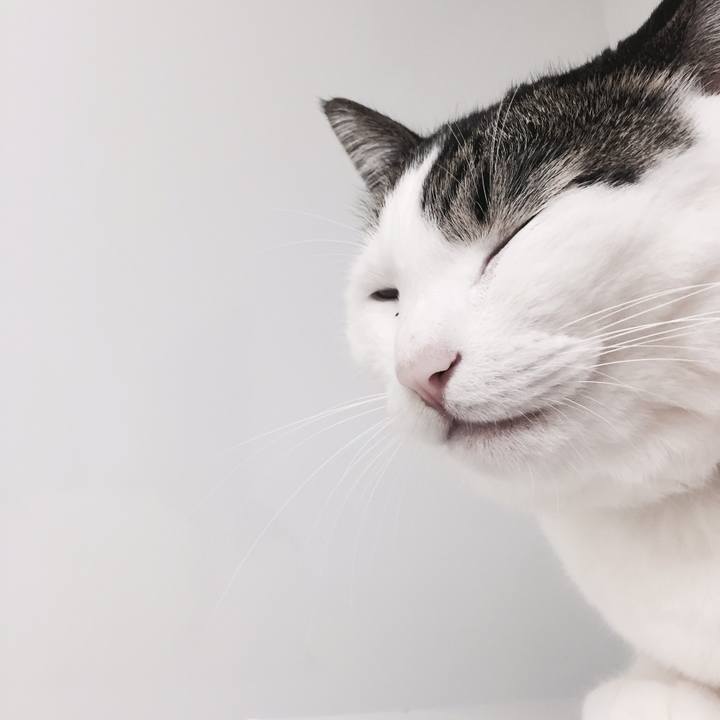 7fbc5983 d40c 440f 93df 9dac8e9b9c3d