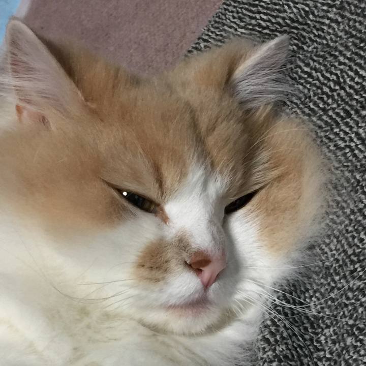 7fbd8649 b57c 4622 b7bb f07110d51909