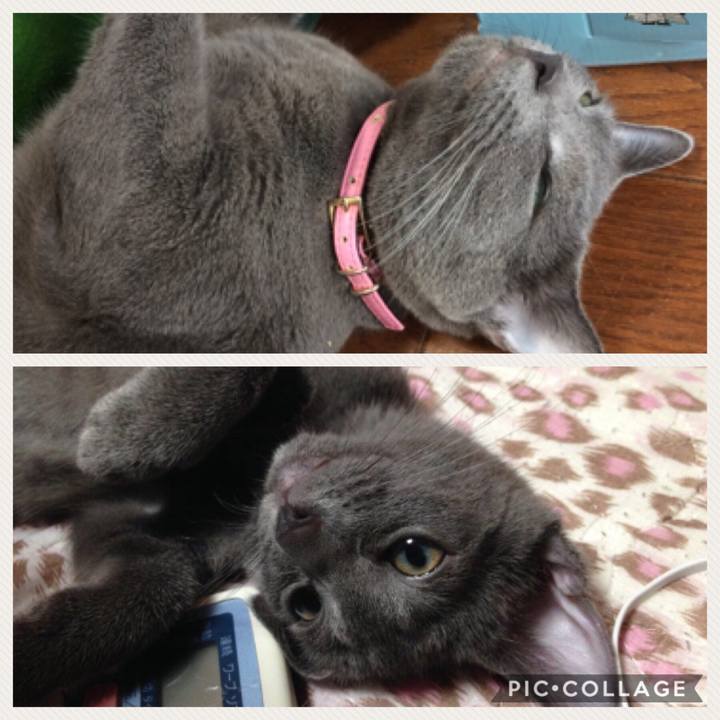 7fbe2357 5fa1 48bd b902 e76cb7ed28ff