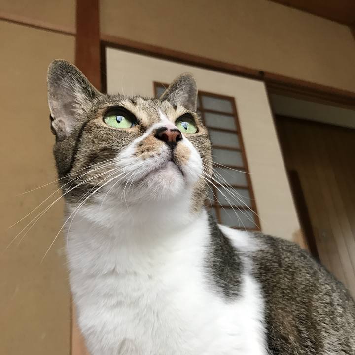 7fbe2b0b 9108 4d56 a1d7 9e6b780ada33