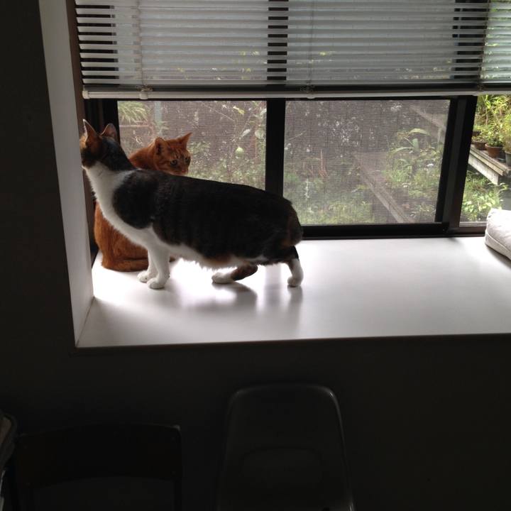 7fbe45f7 93a0 4cd8 80ab fd7aeacedb67