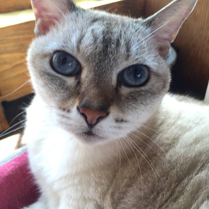 7fbe60e6 695d 4706 af75 213e7c45b2c6