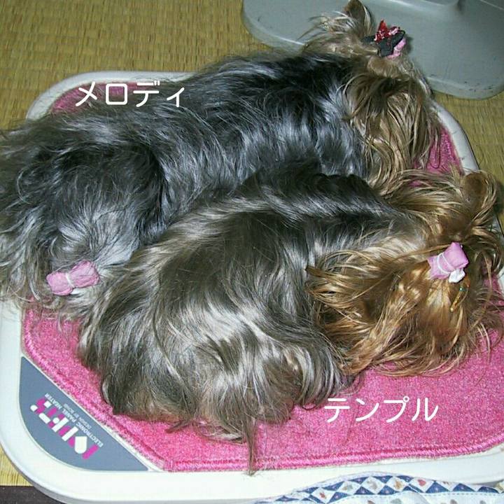 7fbea724 3d9c 4880 b5b3 a97cd78b83bd