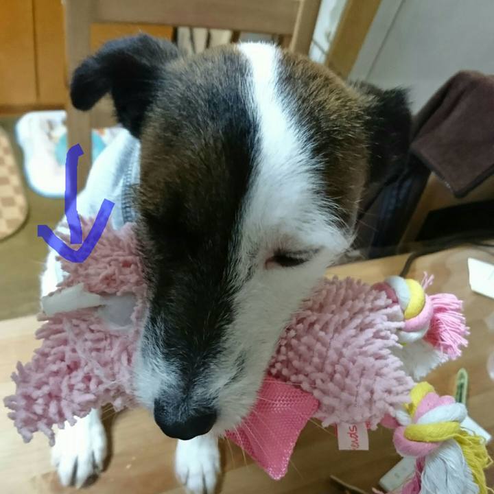 7fbefe8d 044f 4d17 8f47 6e436c80f94e