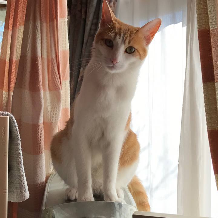 7fc0796d 5dad 4bdd 90a1 1cd334a03842