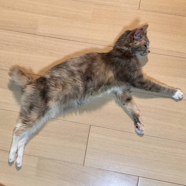 7fc09792 26fb 478d 8c4d 5fb5c441dd0b