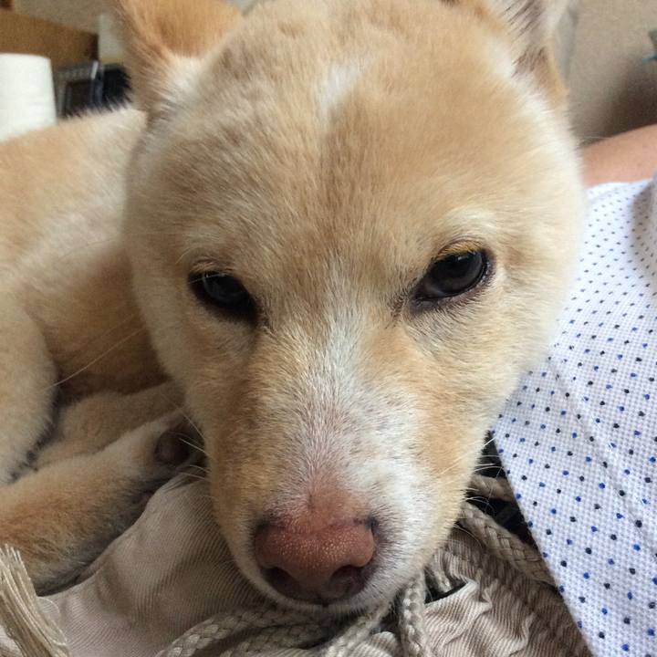 7fc0b0c1 df1a 40f4 bf8f 09638025ab4f