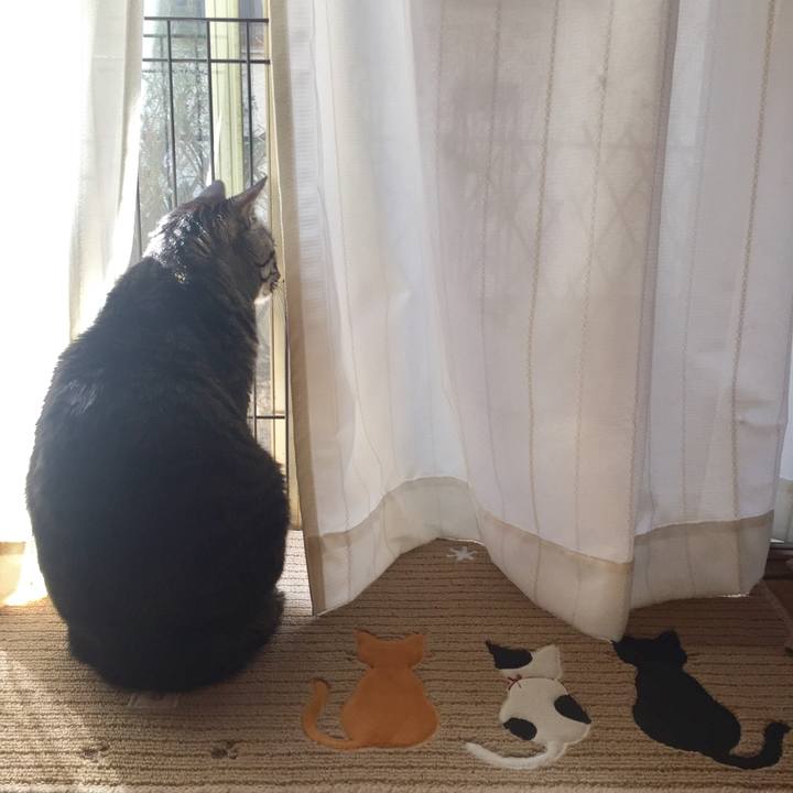 7fc0e39b 19c2 49c8 838a 5ef84c2156dd