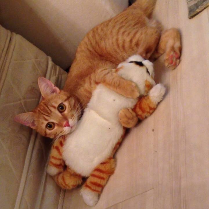 7fc10e54 394a 4301 93d2 a441cb867676