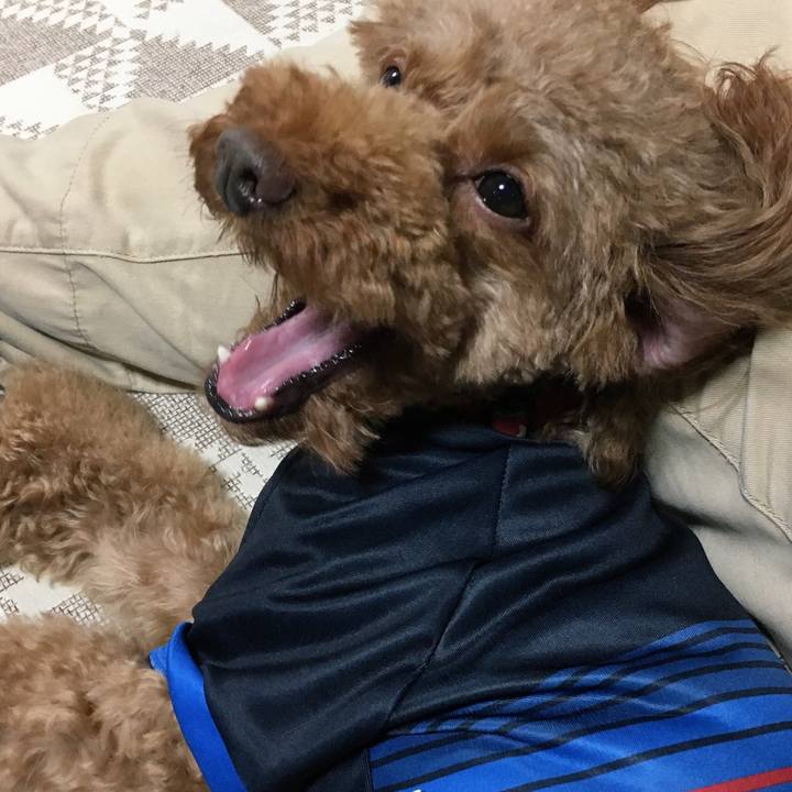 7fc1371b b291 46d9 a392 712caeca62a5