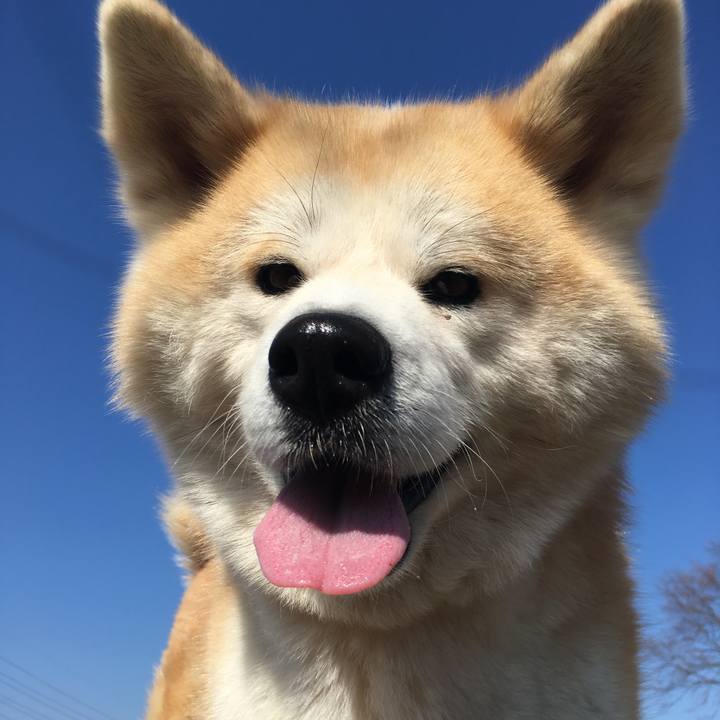 7fc14825 5d2b 4178 b749 c2d40ee9337f