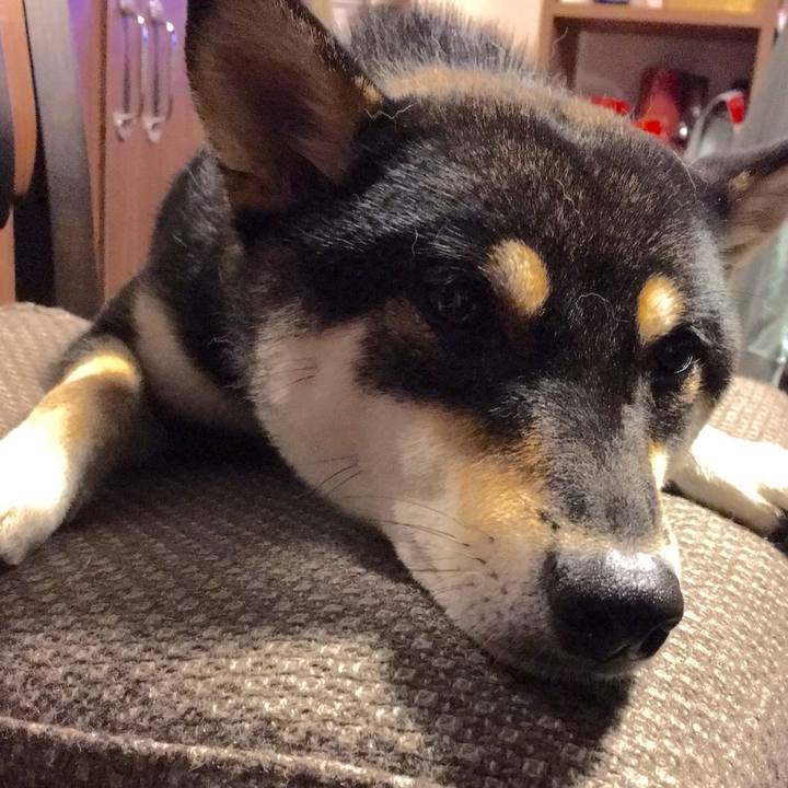 7fc19378 f99e 4386 a710 d1312a732061