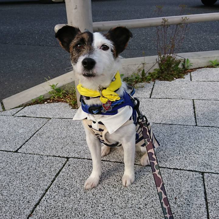 7fc2c447 b7dc 425e 8db4 7dc93dd25eb6