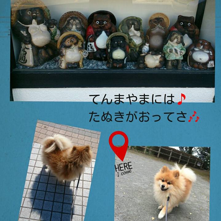 7fc36759 c690 4f58 a883 3f97212713a1