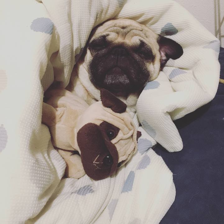 7fc4e4ea b6e0 45dc 8f3b 5fefa38143a2