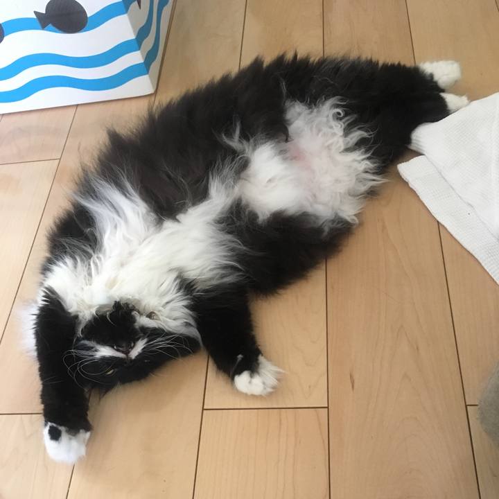 7fc55565 13a5 4997 a6d7 dd6e1772b08e