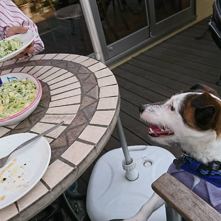 7fc684cd 1c8e 4c3e 9a8f 38cf43d99db4