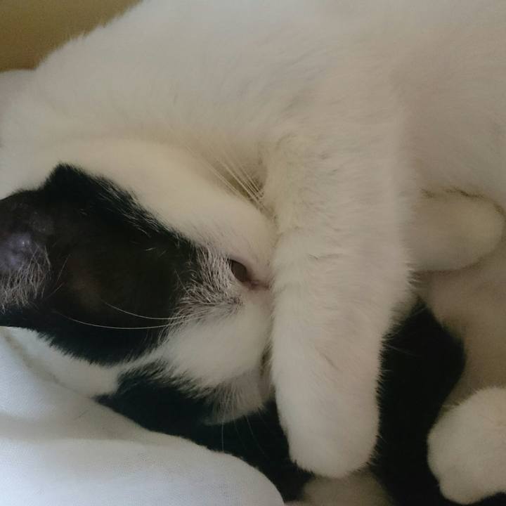 7fc6979c 0452 4265 993f 0070617fbcaf