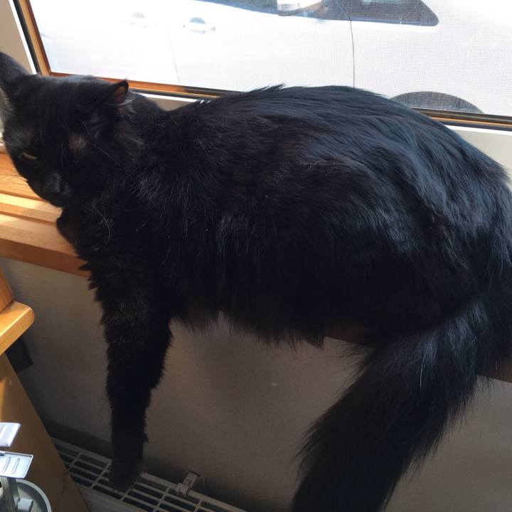 7fc6db91 b0c4 41c4 9e13 d8455a27e84f