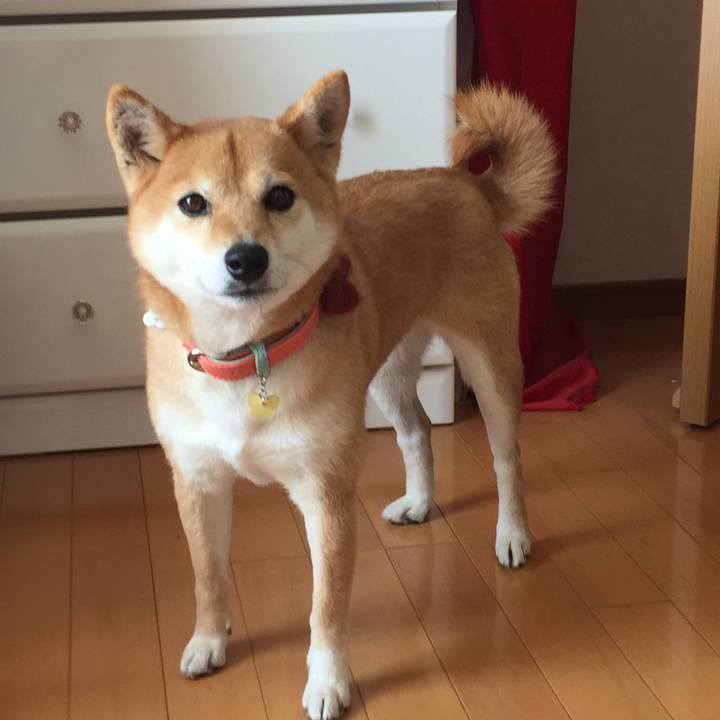 7fc71068 72bf 460c 91d1 9fe971072fa8