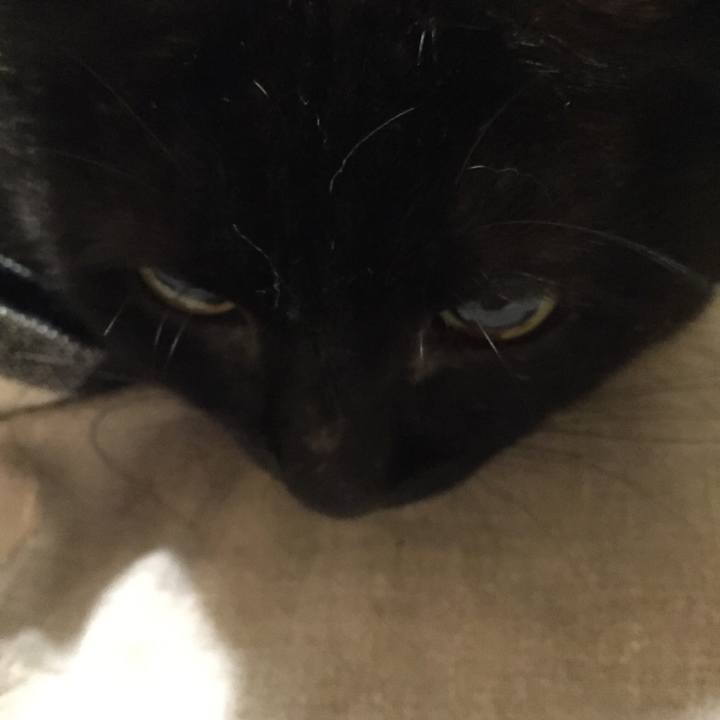 7fc7175a a86a 4835 be37 3d135e458f5b