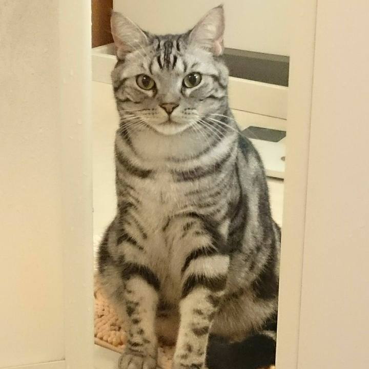 7fc7f428 bb83 4662 ba9b 613b9b2c8757