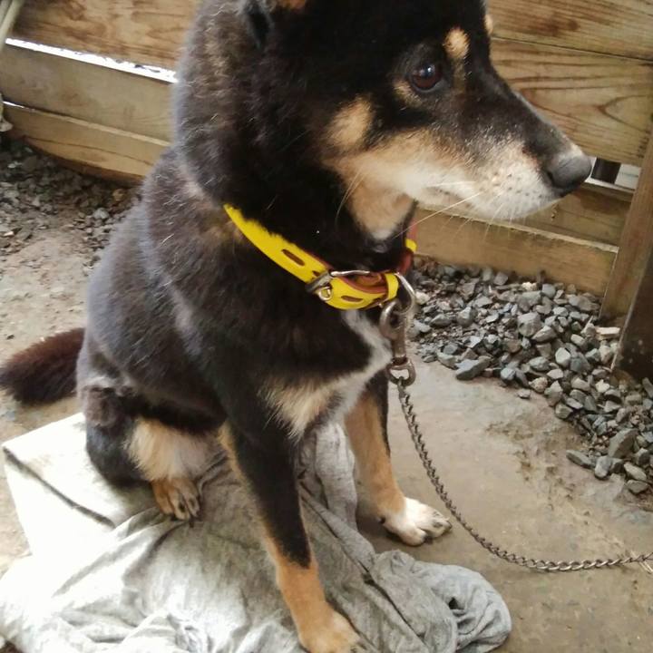 7fc823c7 868c 444f b624 e21132725108