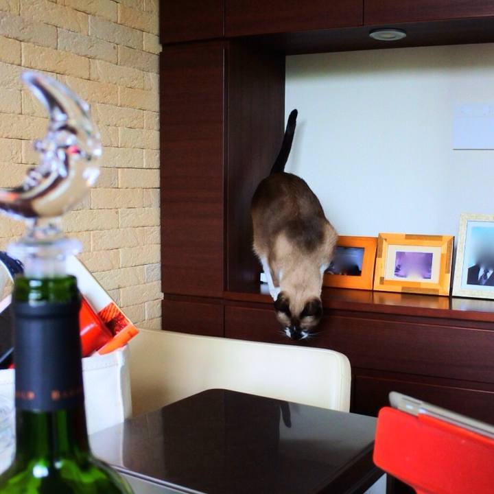 7fc8795d 9b0a 423a 9027 481f4a076a6d