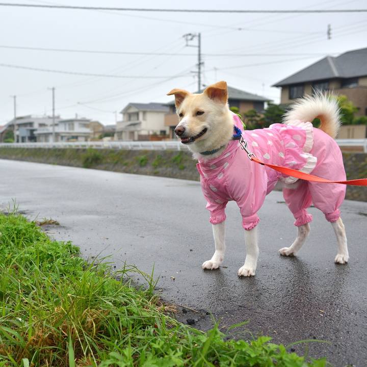 7fc886fb 1b0a 46e8 aa1f a9a8e8932579