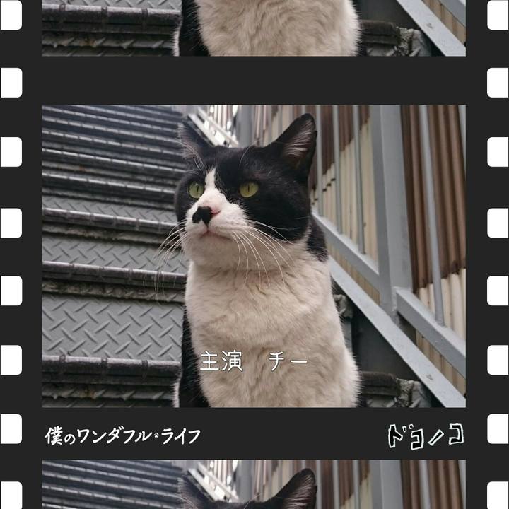 7fc89e68 b383 45ef 8b90 18e18dfd6913