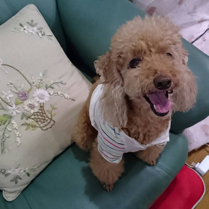 7fc8e033 9fda 405a 9fa6 0946d8b748d2