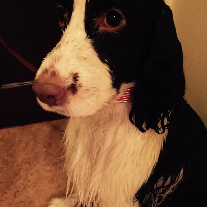 7fc8f3da f677 4964 85a3 0397f1aba73f