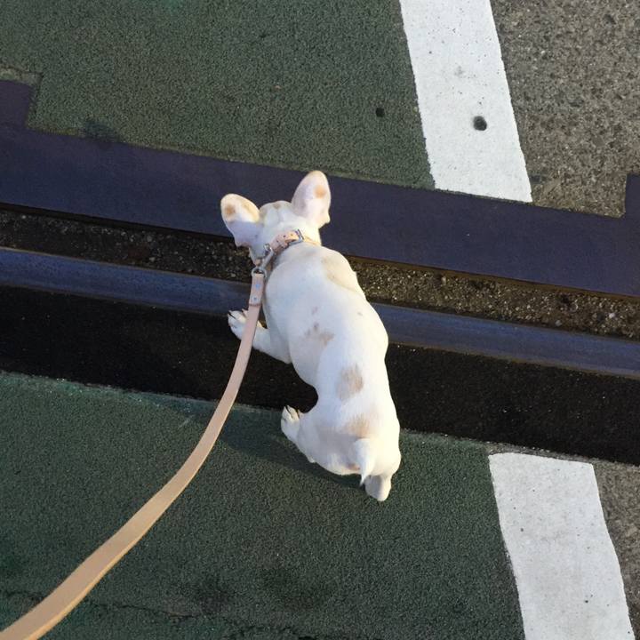 7fc94109 7a39 4d26 9f78 4685adb9b74d