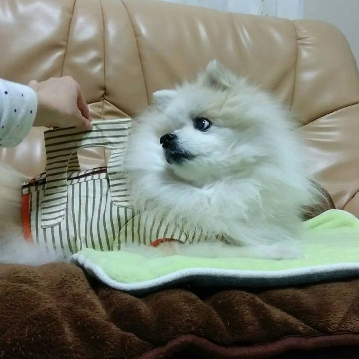 7fc95239 de00 4b29 bfdf db3abe2d7a71