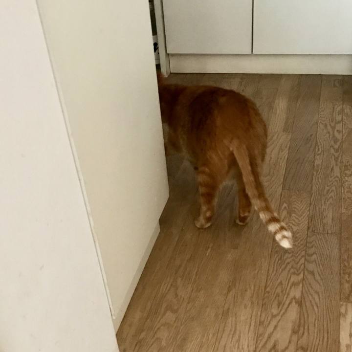 7fc98987 b648 4707 8c4f 25e18da3e163