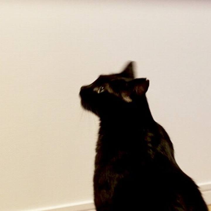 7fca4849 bfb0 4bb0 937a 6720bf292b51