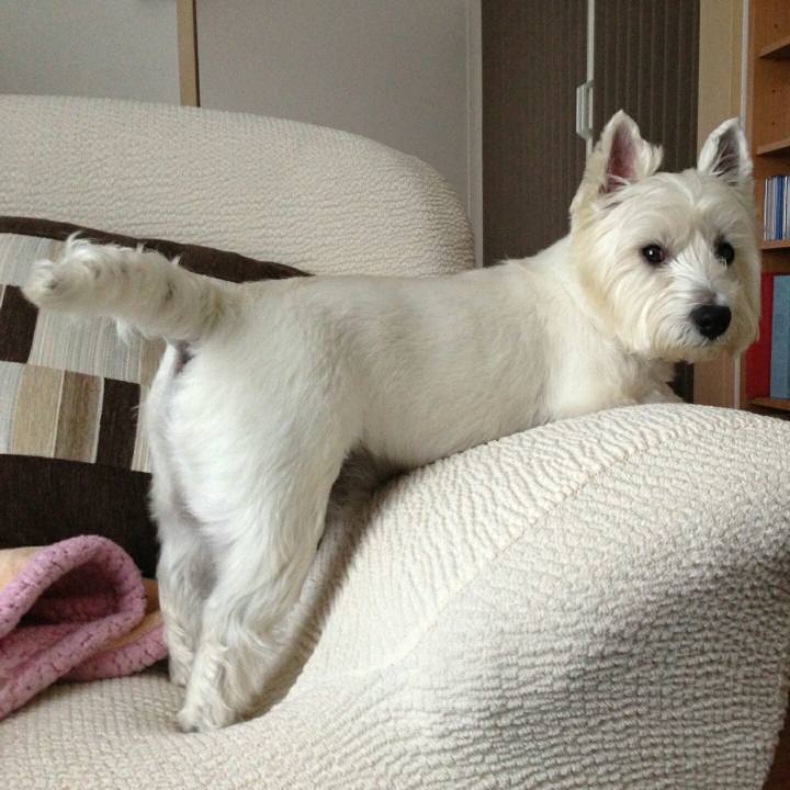 7fcb61e2 be6a 440d bd8d c1f6deb8f160