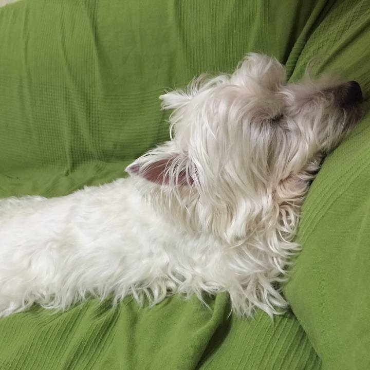 7fcb71f9 6b77 426d 8d8c c127d2026245