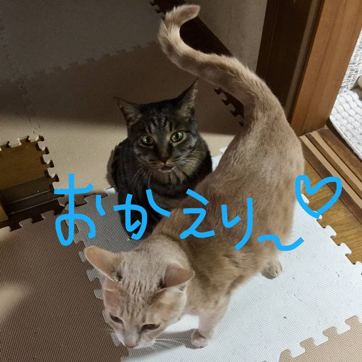 7fcbe775 0a67 497d 84a5 baf1ff1b6149