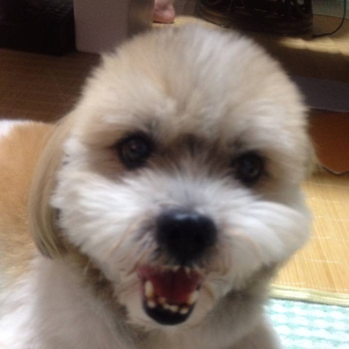 7fccb3a0 3d10 436f 86ad 4339a7bc6494