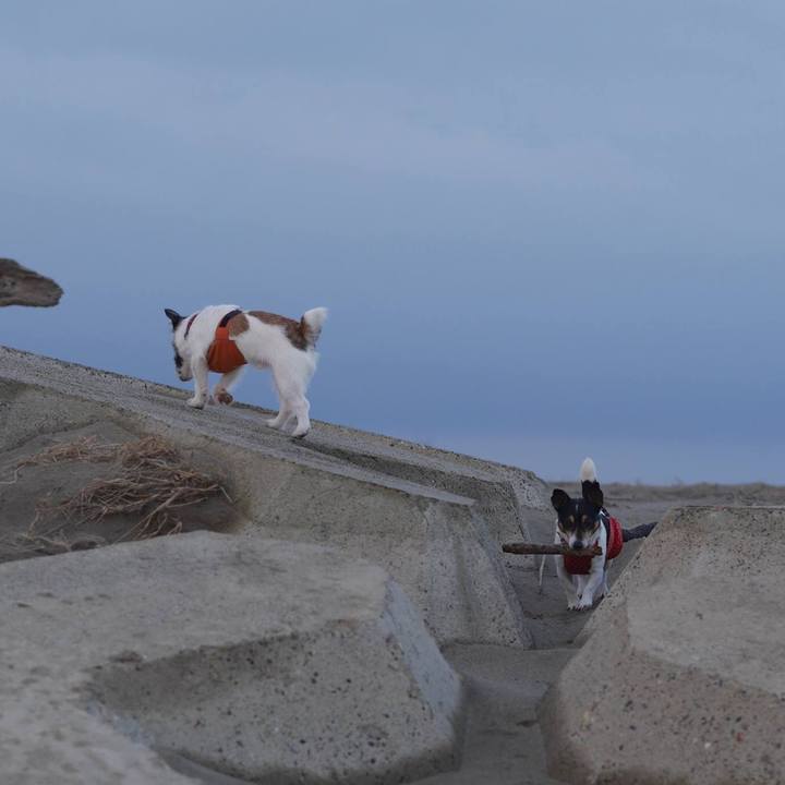 7fcd5daf efbf 4cf0 838d 0c654227c167