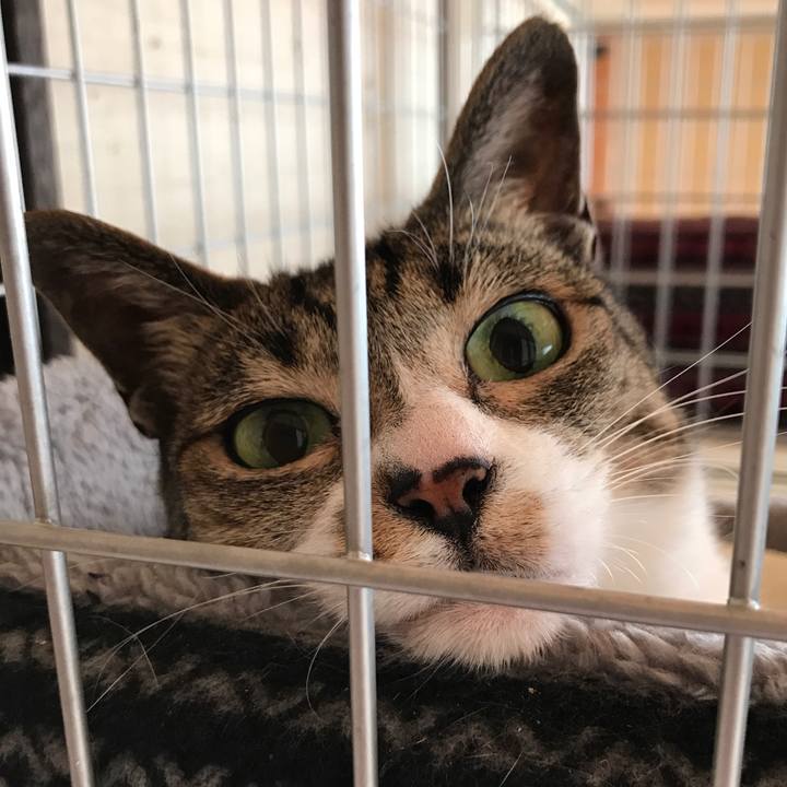 7fcd7144 564a 49dc a80c e6e1b9548ff8