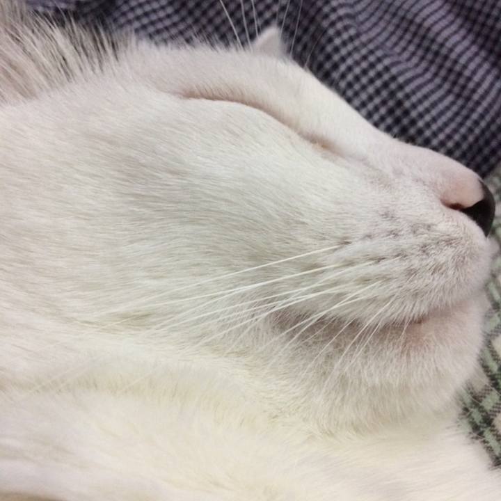 7fce21c6 bdc8 4945 b3ee 6271dfdc5c3d