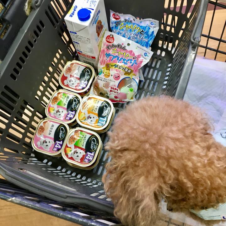 7fce69c2 33fe 4ca0 b676 3623dd7900f2