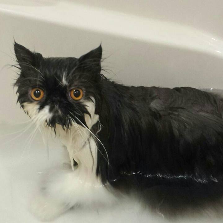 7fce9abb bb24 4e8f 9709 63ed67437c05