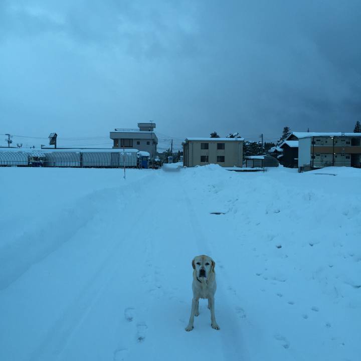 7fcea8b5 8ef2 4c0c 998d 19c77138b1d3