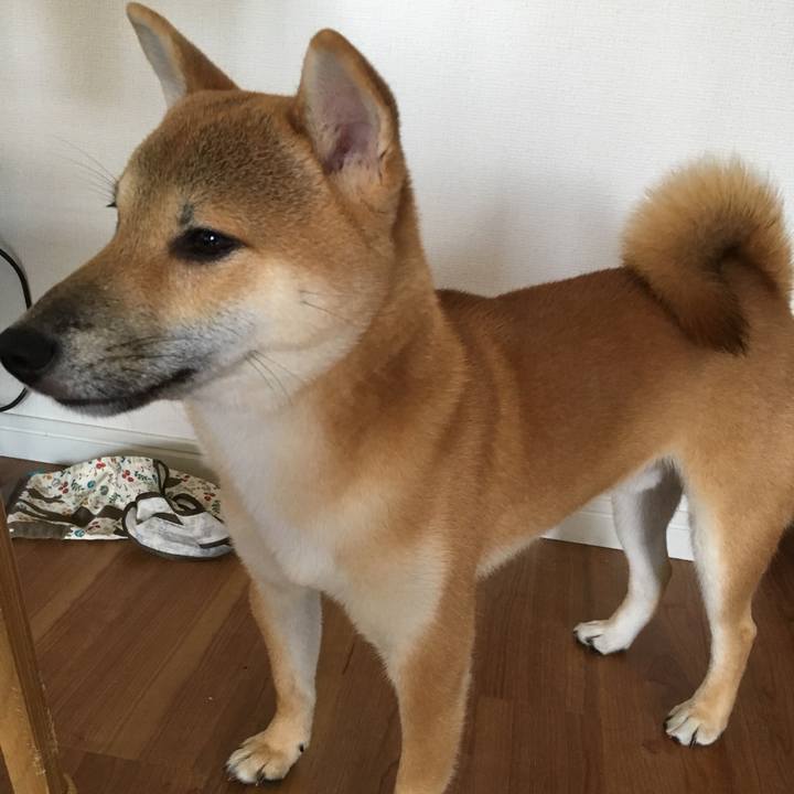 7fcec545 fc6b 4c41 be0d d8bd54b5cf05