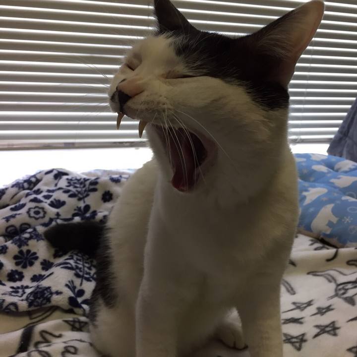 7fcf2380 9de7 44df 89ac dd4b667dfe1c