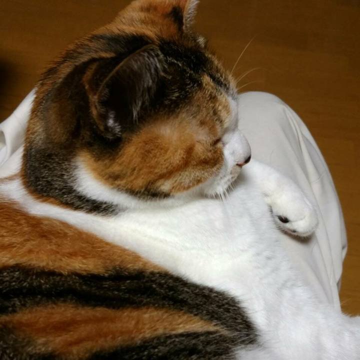 7fcf45c4 58e0 4823 bc56 60258e603810