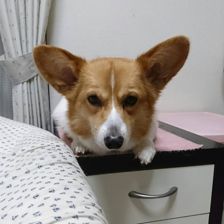 7fcf5044 6a05 4c71 af90 01ac116d9889